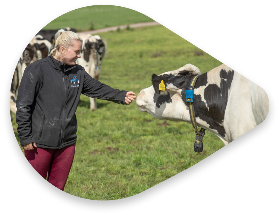 Bäuerin auf einem Feld mit Rindern, die SenseHub-Halsbänder tragen