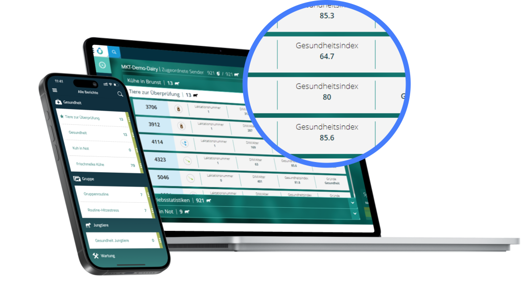 SenseHub Dairy Daten werden auf dem Bildschirm von Telefon und Laptop angezeigt