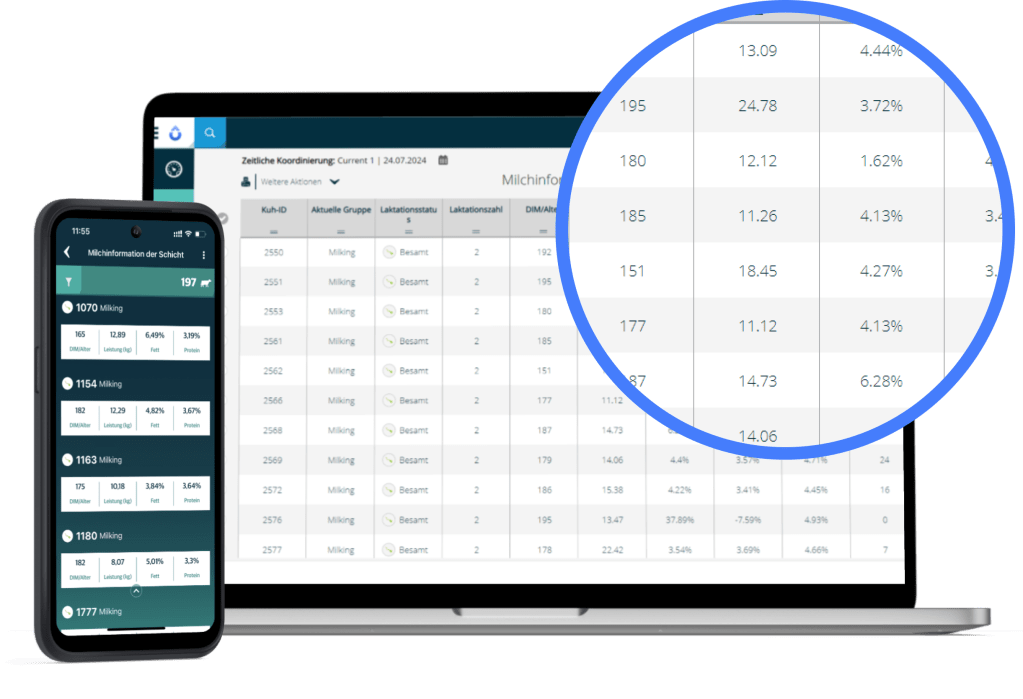 SenseHub Dairy Daten werden auf dem Bildschirm von Telefon und Laptop angezeigt