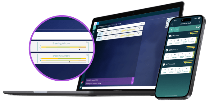 Laptop und Telefon mit Daten Fruchtbarkeitsmonitoring