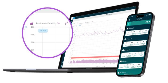 Laptop und Telefon mit Daten Gruppenmonitoring