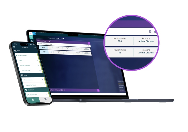 Laptop und Telefon mit Daten Gesundheitsmonitoring
