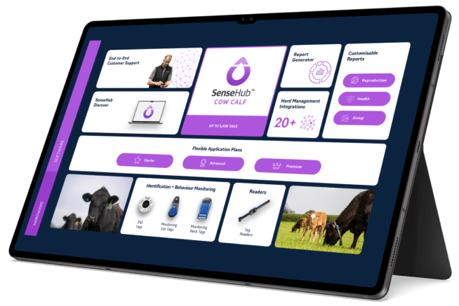 Tablet mit sensehub App in lila