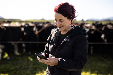 Frau auf ihrem Telefon